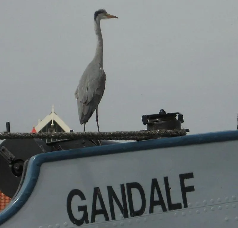 Hotel Hotelschip Gandalf Amsterdam